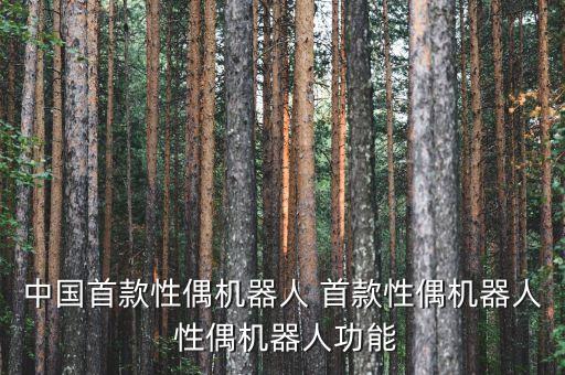 性功能智能機(jī)器人，中國(guó)首款性偶機(jī)器人 首款性偶機(jī)器人 性偶機(jī)器人功能