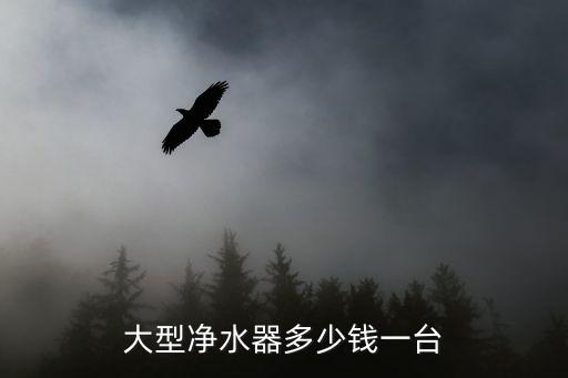 大型凈水器多少錢一臺(tái)