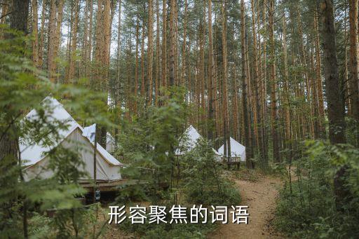 形容聚焦的詞語
