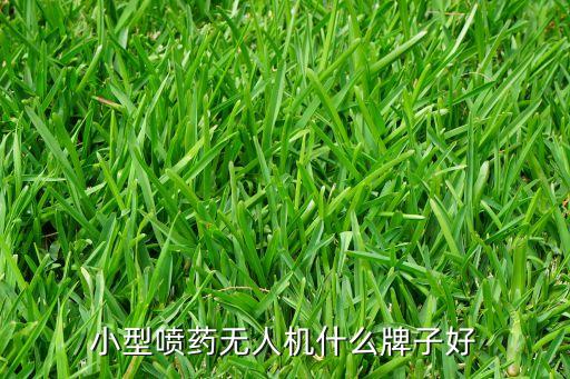 20元迷你無人機，可編程操控的小型無人機飛行器 根據(jù)實時事件自主飛行