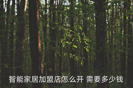 智能家居加盟店怎么開 需要多少錢