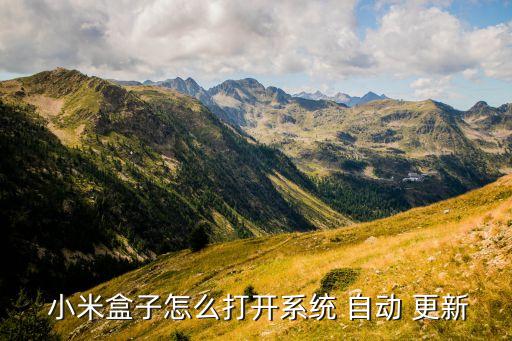  小米盒子怎么打開系統(tǒng) 自動 更新