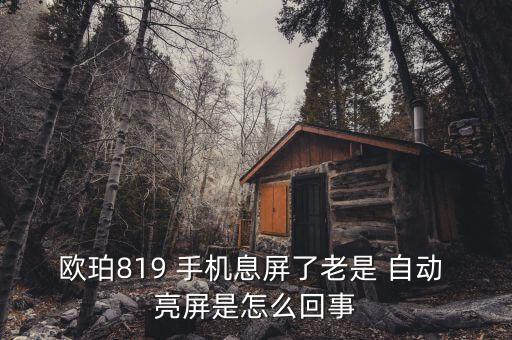 手機(jī)老是自動(dòng)亮屏,手機(jī)屏幕自動(dòng)亮起五大問題可能性