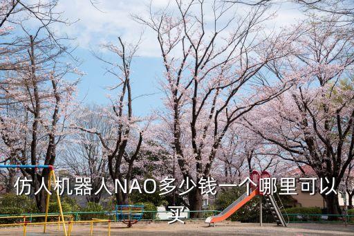 仿人機(jī)器人NAO多少錢一個(gè)哪里可以買