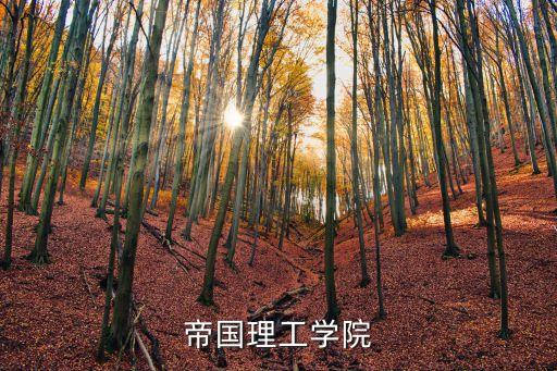帝國理工學院