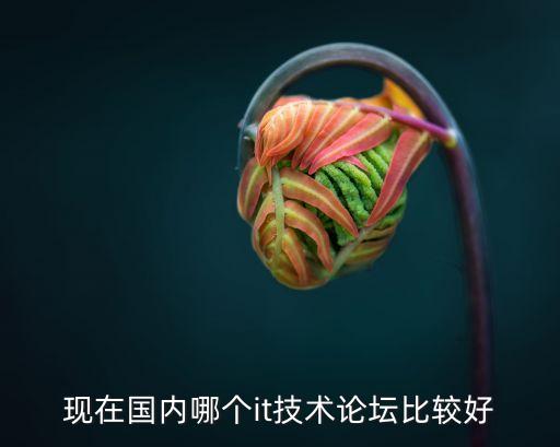 現(xiàn)在國內(nèi)哪個(gè)it技術(shù)論壇比較好