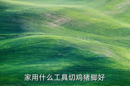 手動小型切雞塊機器，家用什么工具切雞豬腳好