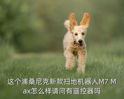 新款掃地機器人，這個浦桑尼克新款掃地機器人M7 Max怎么樣請問有遙控器嗎