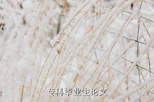 ?？飘厴I(yè)論文，專科畢業(yè)生論文