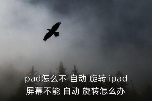 pad怎么不 自動 旋轉(zhuǎn) ipad屏幕不能 自動 旋轉(zhuǎn)怎么辦