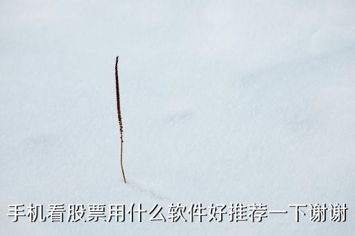 手機(jī)看股票用什么軟件好推薦一下謝謝