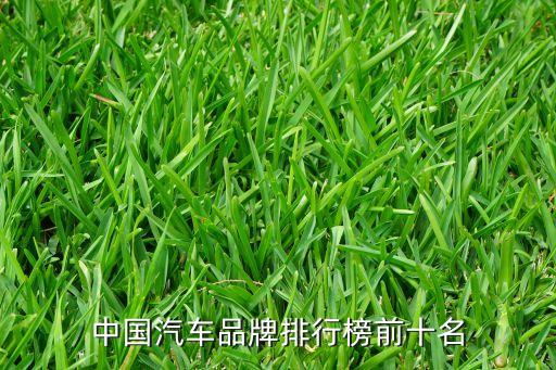 中國(guó)汽車品牌排行榜前十名