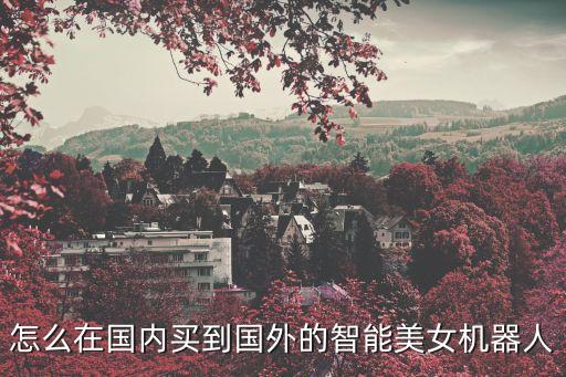 怎么在國(guó)內(nèi)買到國(guó)外的智能美女機(jī)器人