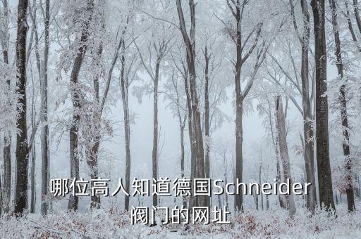哪位高人知道德國Schneider閥門的網(wǎng)址