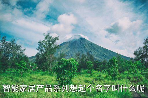智能產(chǎn)品名稱，取一個好聽的電子產(chǎn)品名字