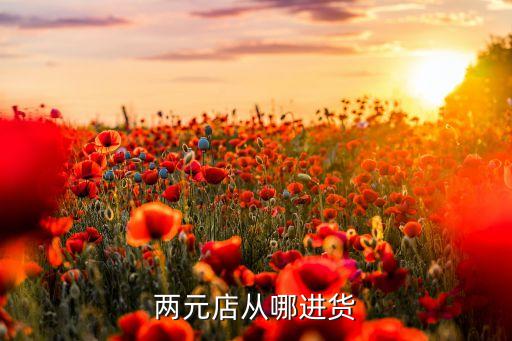 兩元店從哪進(jìn)貨