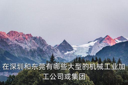 機機械加工廠家，在深圳和東莞有哪些大型的機械工業(yè)加工公司或集團