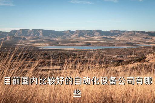 目前國內比較好的自動化設備公司有哪些