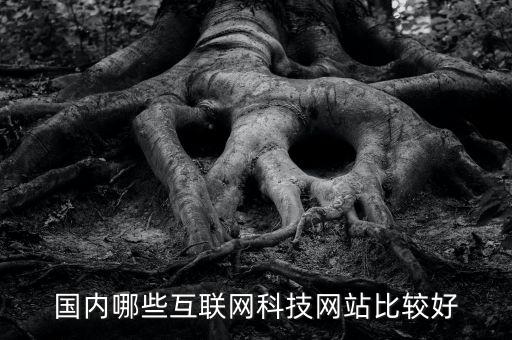 最好的科技網(wǎng)站，國內(nèi)哪些互聯(lián)網(wǎng)科技網(wǎng)站比較好