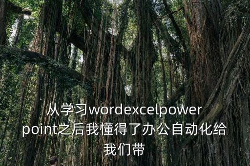 從學(xué)習(xí)wordexcelpowerpoint之后我懂得了辦公自動化給我們帶