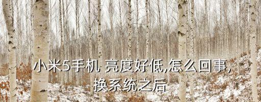  小米5手機(jī) 亮度好低,怎么回事,換系統(tǒng)之后