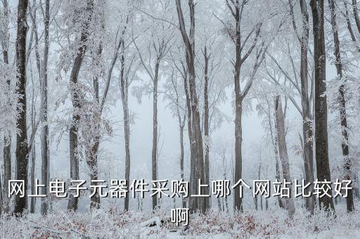 電子元器件購買網(wǎng)站大全，在網(wǎng)上買電子元器件有哪些平臺