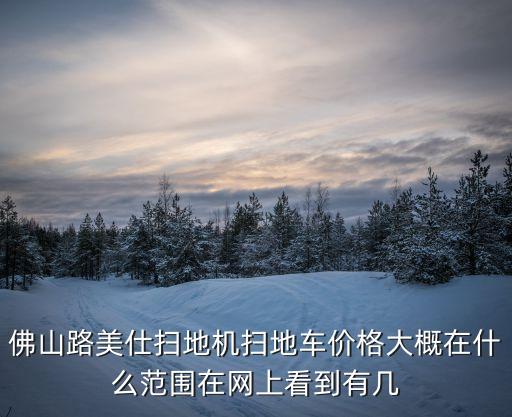 佛山路美仕掃地機(jī)掃地車價(jià)格大概在什么范圍在網(wǎng)上看到有幾
