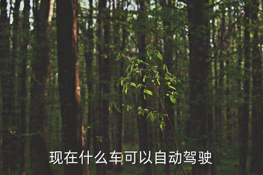 現(xiàn)在哪些車有自動(dòng)駕駛功能，哪些車可以自動(dòng)駕駛