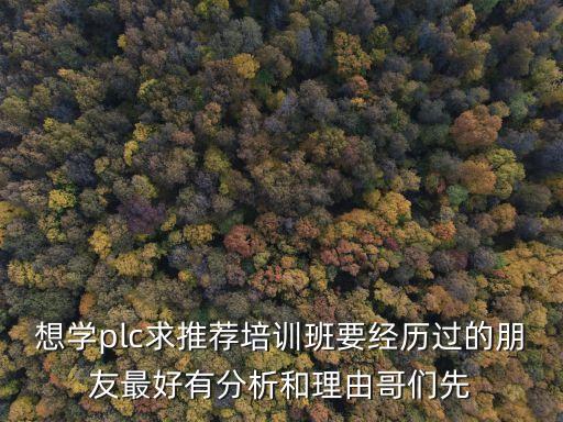 plc培訓(xùn)班，求問PLC培訓(xùn)班