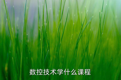 數(shù)控技術(shù)學(xué)什么課程