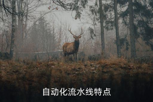 自動化流水線特點