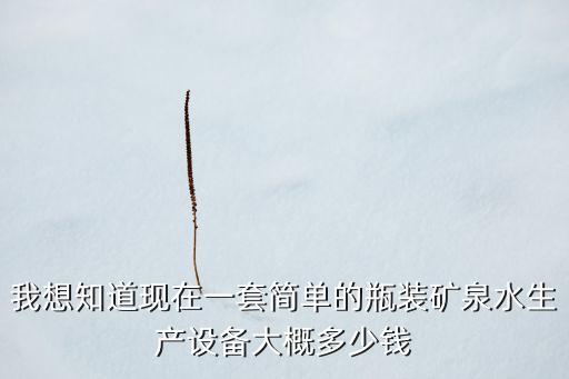 我想知道現(xiàn)在一套簡單的瓶裝礦泉水生產(chǎn)設(shè)備大概多少錢