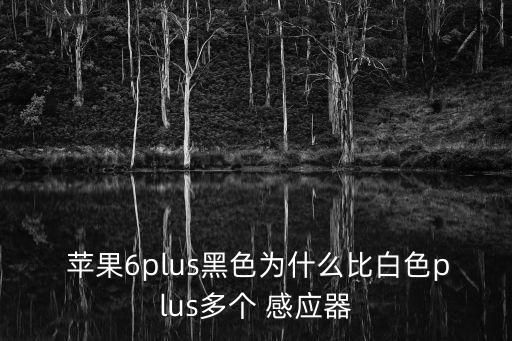  蘋果6plus黑色為什么比白色plus多個(gè) 感應(yīng)器