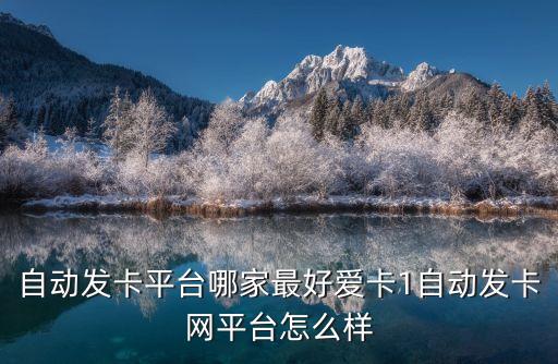 自動(dòng)發(fā)卡平臺(tái)哪家最好愛卡1自動(dòng)發(fā)卡網(wǎng)平臺(tái)怎么樣