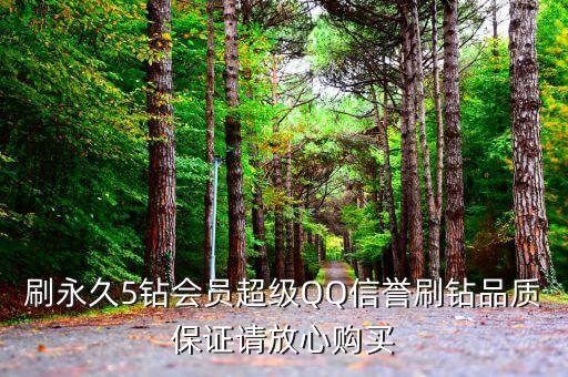 qq刷鉆網(wǎng)站推廣永久，刷永久5鉆會(huì)員超級(jí)QQ信譽(yù)刷鉆品質(zhì)保證請(qǐng)放心購買