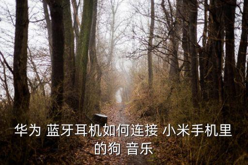 華為 藍(lán)牙耳機(jī)如何連接 小米手機(jī)里的狗 音樂
