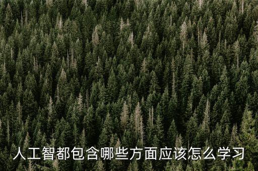 人工智能包括哪些方面，人工智能包括哪些方面