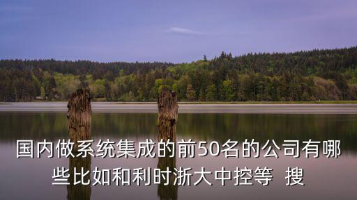 國內做系統(tǒng)集成的前50名的公司有哪些比如和利時浙大中控等  搜
