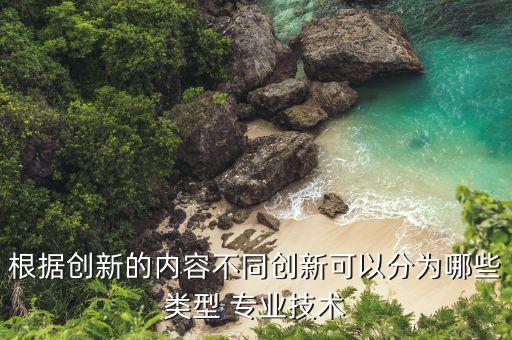 根據(jù)創(chuàng)新的內(nèi)容不同創(chuàng)新可以分為哪些類型 專業(yè)技術(shù)
