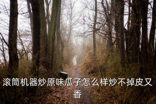 滾筒機器炒原味瓜子怎么樣炒不掉皮又香