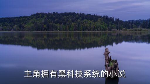主角研發(fā)黑科技的小說，求主角有黑科技的小說類似科技之門我的幻想科技之類的