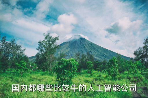 國(guó)內(nèi)都哪些比較牛的人工智能公司