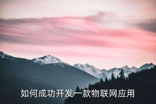 如何成功開發(fā)一款物聯(lián)網(wǎng)應(yīng)用
