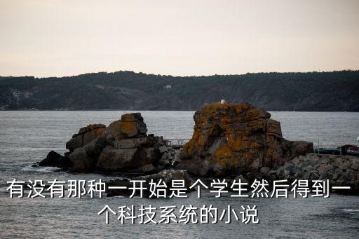 有沒(méi)有那種一開(kāi)始是個(gè)學(xué)生然后得到一個(gè)科技系統(tǒng)的小說(shuō)