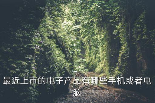 最新的電子產(chǎn)品有哪些牌子，現(xiàn)在最新的電子產(chǎn)品都哪些啊
