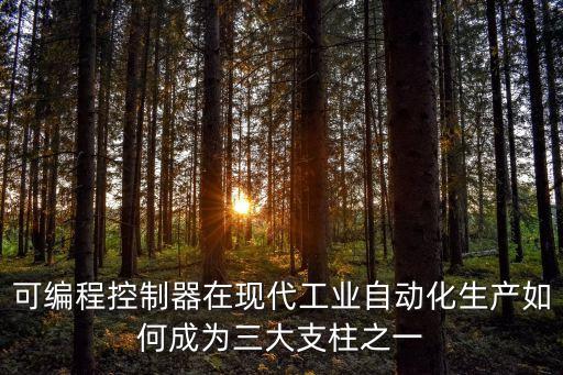 可編程控制器在現(xiàn)代工業(yè)自動(dòng)化生產(chǎn)如何成為三大支柱之一