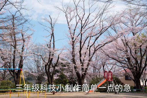 三年級科技小制作簡單一點(diǎn)的急