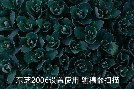  東芝2006設(shè)置使用 輸稿器掃描