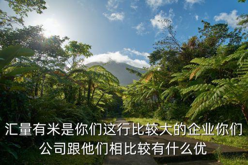 匯量有米是你們這行比較大的企業(yè)你們公司跟他們相比較有什么優(yōu)