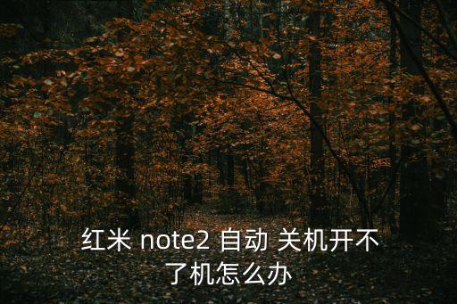  紅米 note2 自動(dòng) 關(guān)機(jī)開不了機(jī)怎么辦